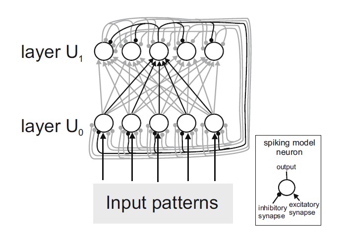 Adaptive hemmende Rückkopplungs-Verbindungen