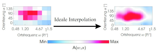 Ortsfrequenzen im Sehsystem
